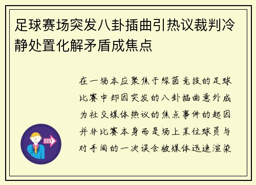 足球赛场突发八卦插曲引热议裁判冷静处置化解矛盾成焦点 足球赛场突发八卦插曲引热议裁判冷静处置化解矛盾成焦点