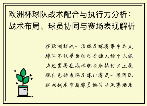 欧洲杯球队战术配合与执行力分析：战术布局、球员协同与赛场表现解析